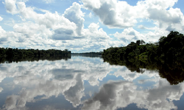 biodiversidade dispersao doencas