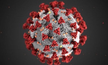 coronavirus