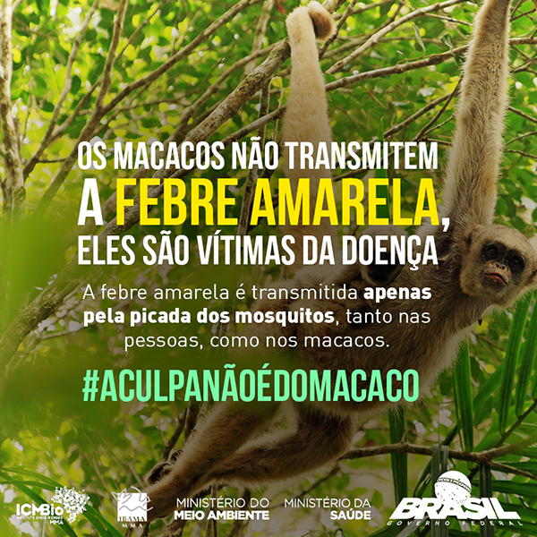 macaco-febreamarela