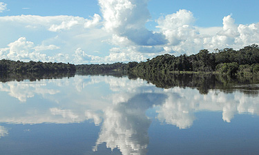 vunerabilidade ambiental amazonas